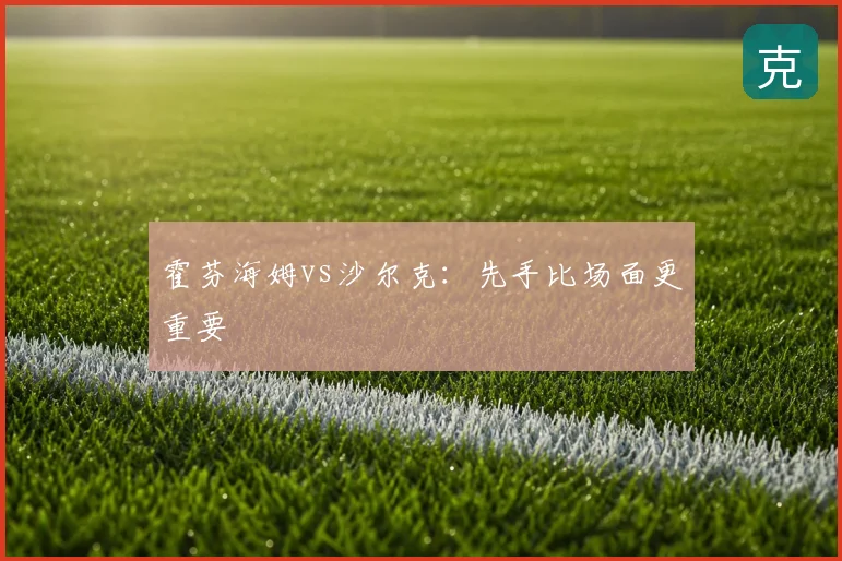 霍芬海姆vs沙尔克：先手比场面更重要